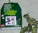 hoku91