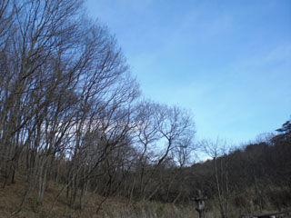 立春