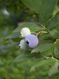 DSCN8424