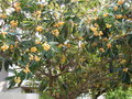 DSC00484