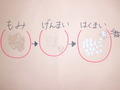 CIMG8839