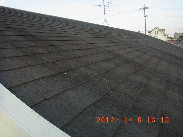 R0011029