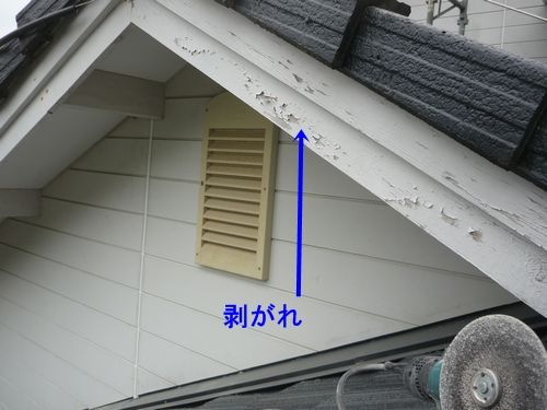 P1000161