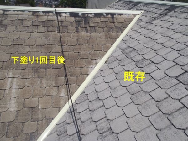 P7050570