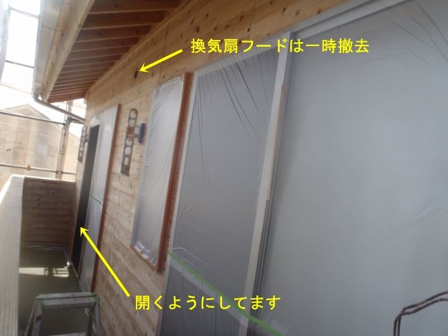 P8030310