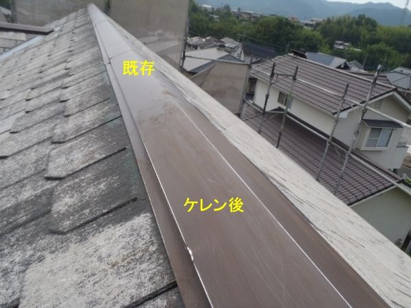 P7040521
