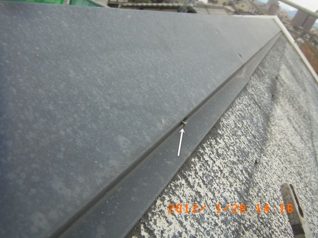 R0011274