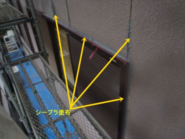 P6080336