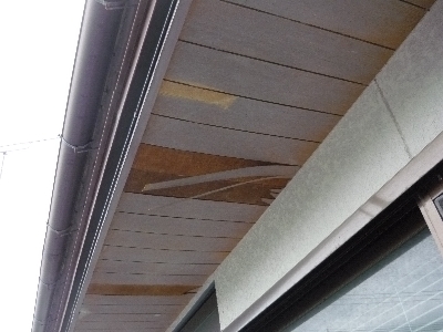 n02