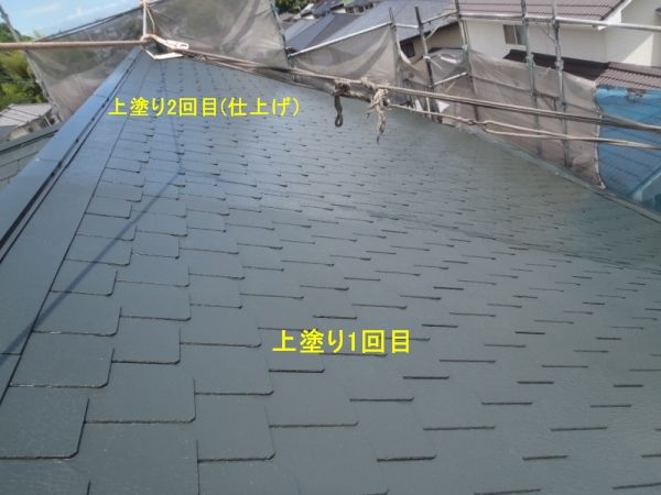 P7090007