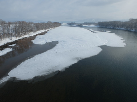 DSCF6769