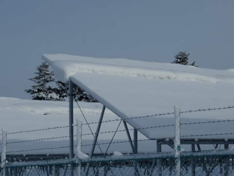 DSCF6765