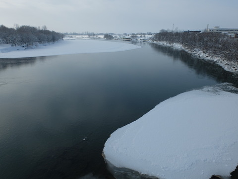 DSCF6786