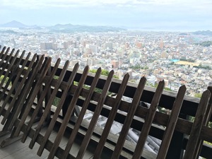 IMG_3132