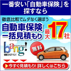 自動車保険<更新>一括見積もり『保険スクエアbang!』
