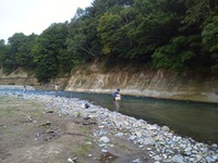 K_NEC_1195