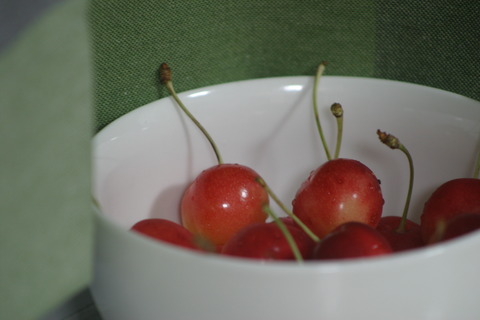 cherry