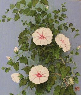 k_朝顔_夏井祐子
