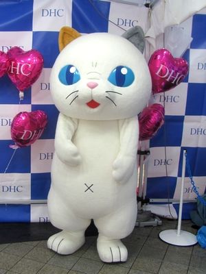 当選品 DHC タマ川ヨシ子 エプロン 非売品 当選品 DHC タマ川ヨシ子