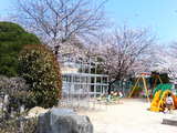 公園2