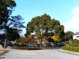 公園全体