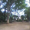 Pht0620080103.jpg