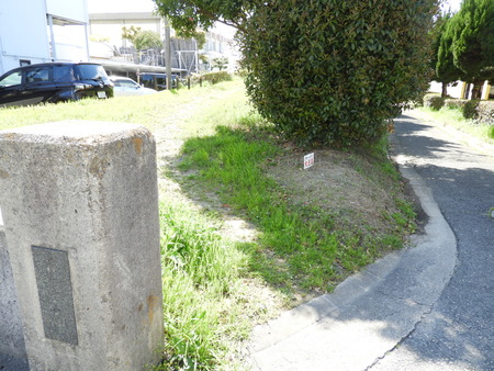 DSCN0820