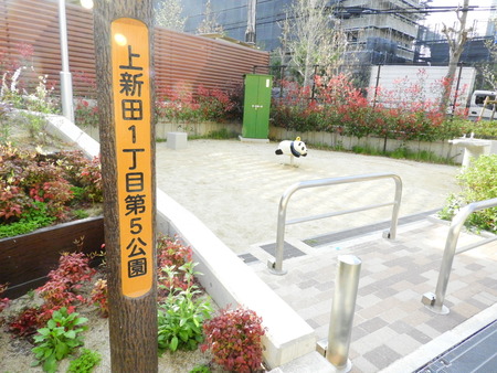 DSCN1640