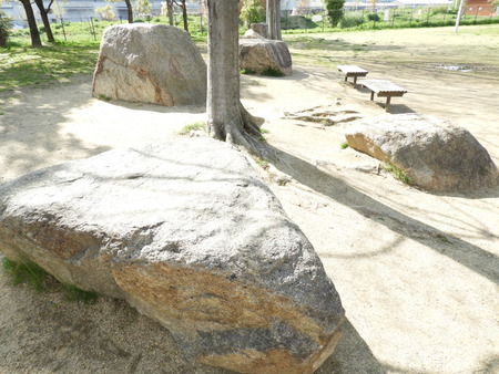 DSCN0901