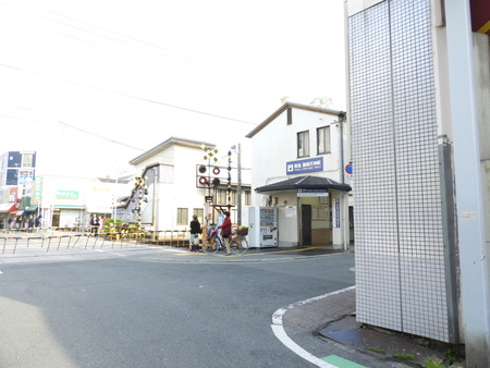 DSCN0909
