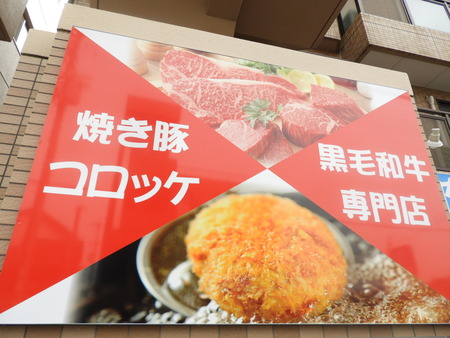 DSCN8668