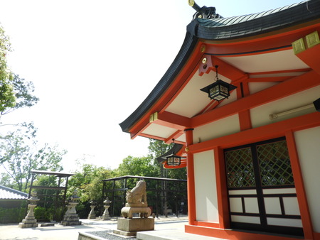 DSCN0884