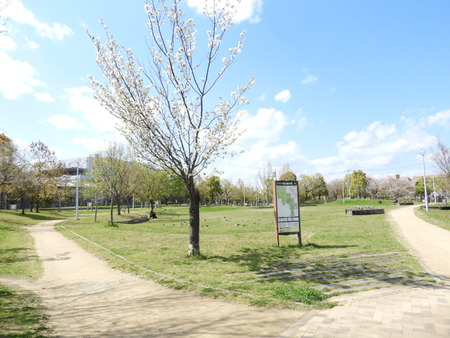 DSCN0842