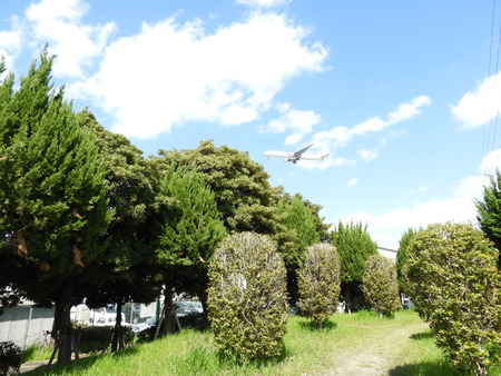 DSCN0824