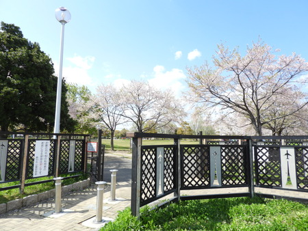 DSCN0845