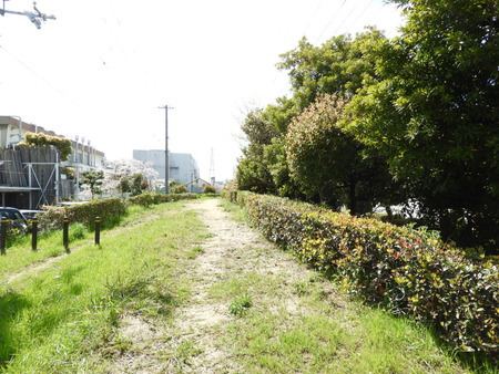 DSCN0821