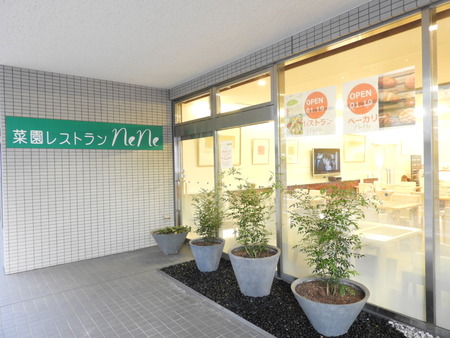 DSCN8658
