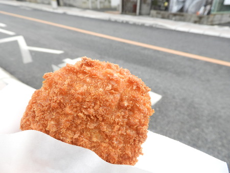 DSCN8690