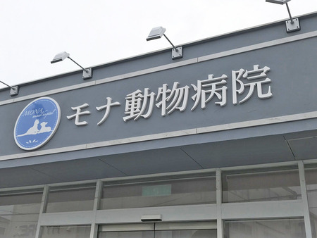 20190501_075213533_iOS