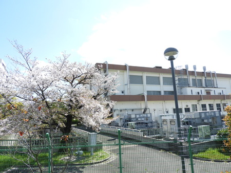 DSCN0822