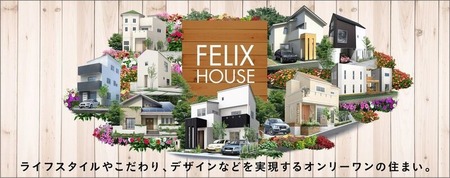 FERIX 1