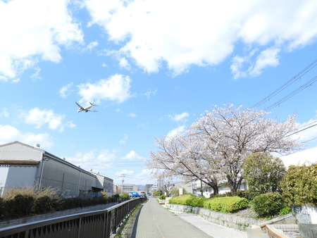 DSCN0836