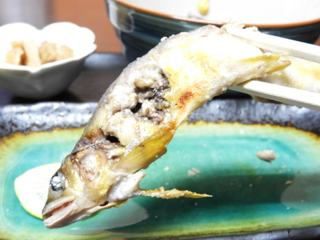 DSCN3400