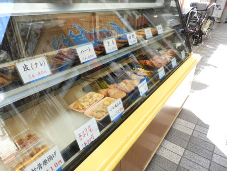 DSCN0779