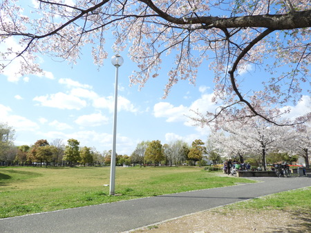 DSCN0847