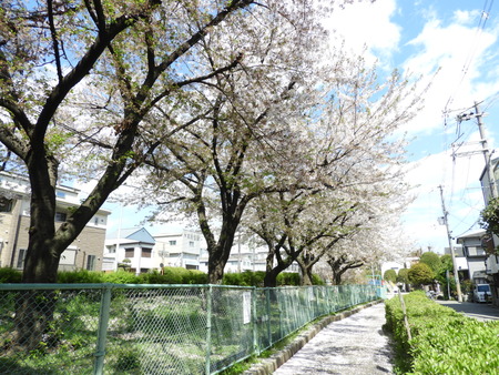 DSCN0816