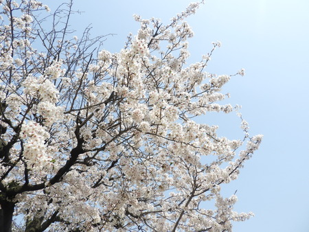 DSCN0164