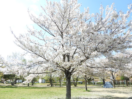 DSCN0898