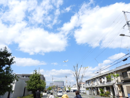 DSCN0791