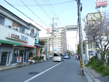 DSCN0908
